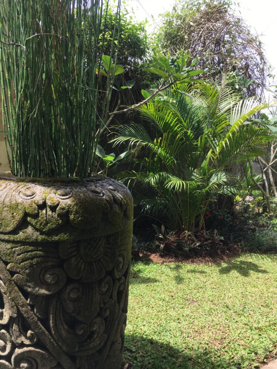Heaven Villa Ubud Ngoại thất bức ảnh